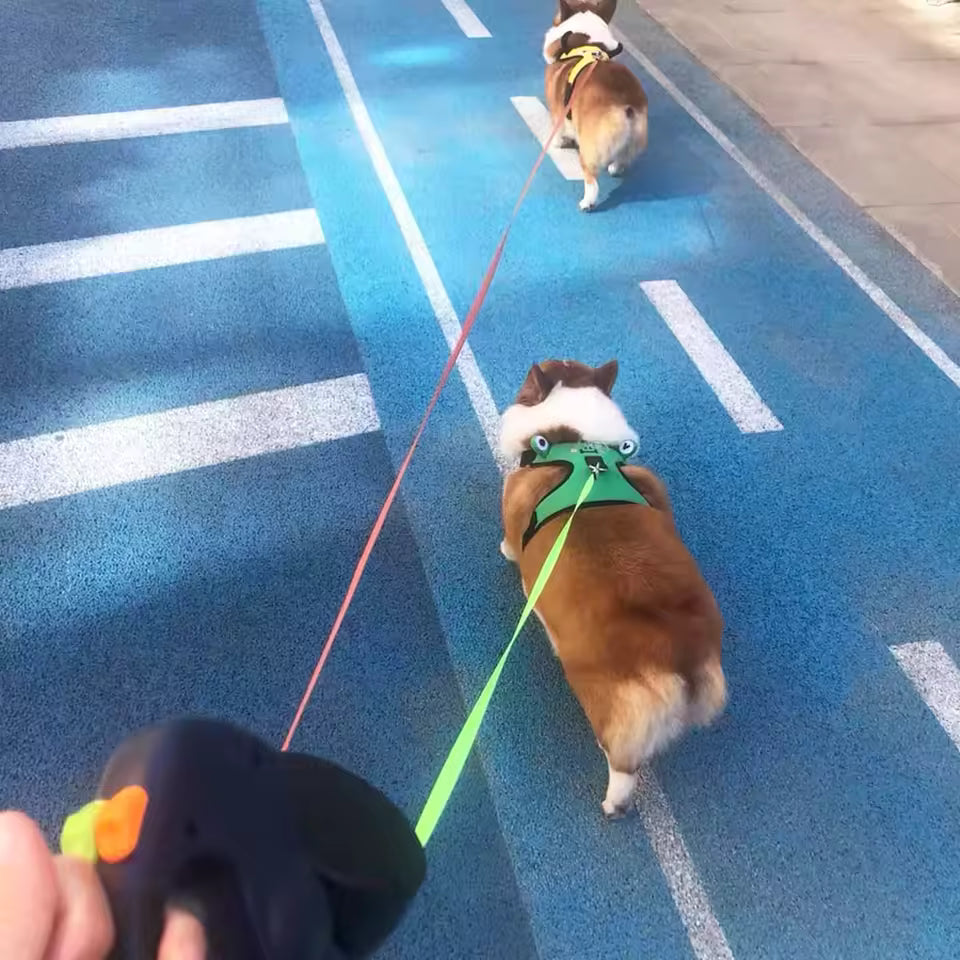 SmoothWalk Double Leash